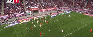 1746284071468087293.gif 牛仁62.gif